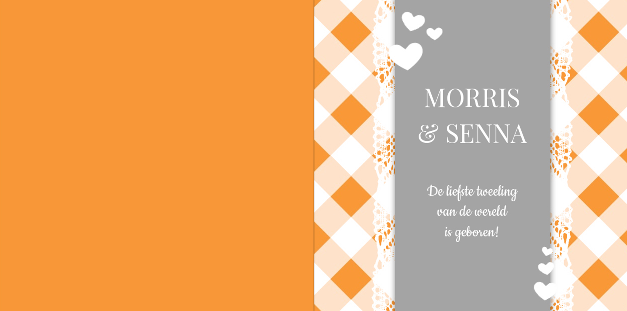 Kaartje tweeling "Liefste tweeling van de wereld" Kaartje tweeling "Liefste tweeling van de wereld"