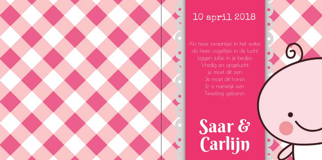 Kaartje tweeling "Roze geruit met baby" Kaartje tweeling "Roze geruit met baby"