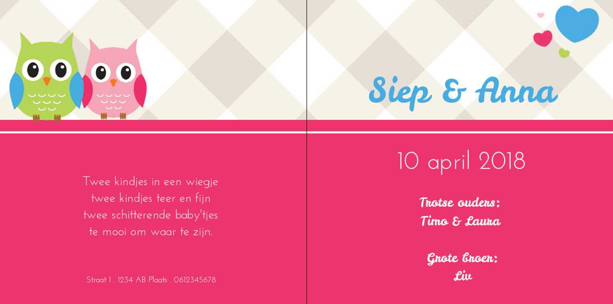Kaartje tweeling "Uiltjes met hartje" Kaartje tweeling "Uiltjes met hartje"
