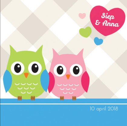 Kaartje tweeling "Uiltjes met hartje"