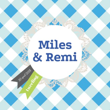 Kaartje tweeling "Vaantje blauw"