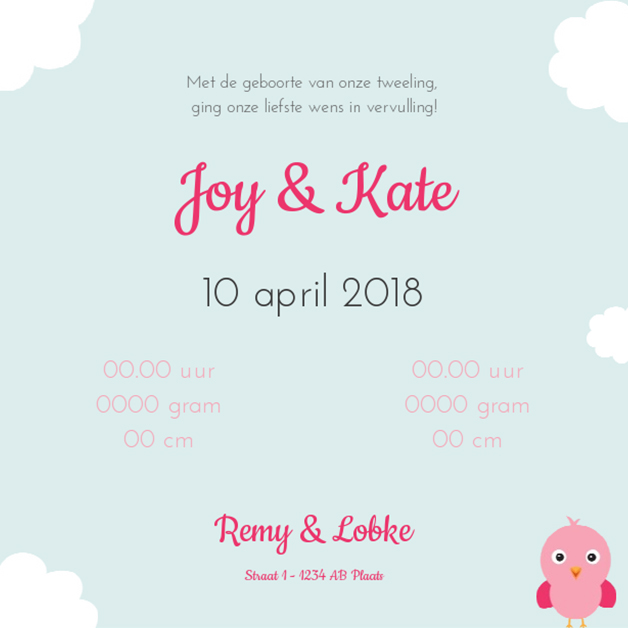 Kaartje tweeling "rompers roze" Kaartje tweeling "rompers roze"