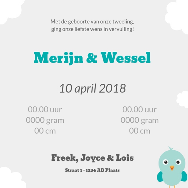 Kaartje tweeling "Rompers blauw" Kaartje tweeling "Rompers blauw"