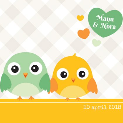 Kaartje tweeling "Gekleurde vogeltjes"