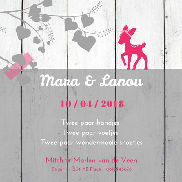 Kaartje tweeling "Hertje steigerhout" Kaartje tweeling "Hertje steigerhout"