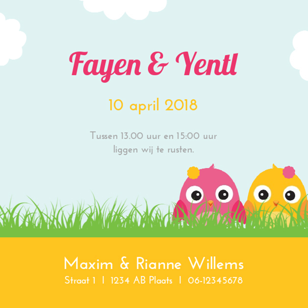 Kaart tweeling "vogeltjes in het gras roze" Kaart tweeling "vogeltjes in het gras roze"