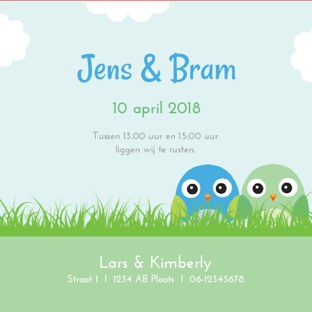 Kaart tweeling "vogeltjes in het gras blauw" Kaart tweeling "vogeltjes in het gras blauw"