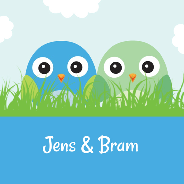 Kaart tweeling "vogeltjes in het gras blauw"