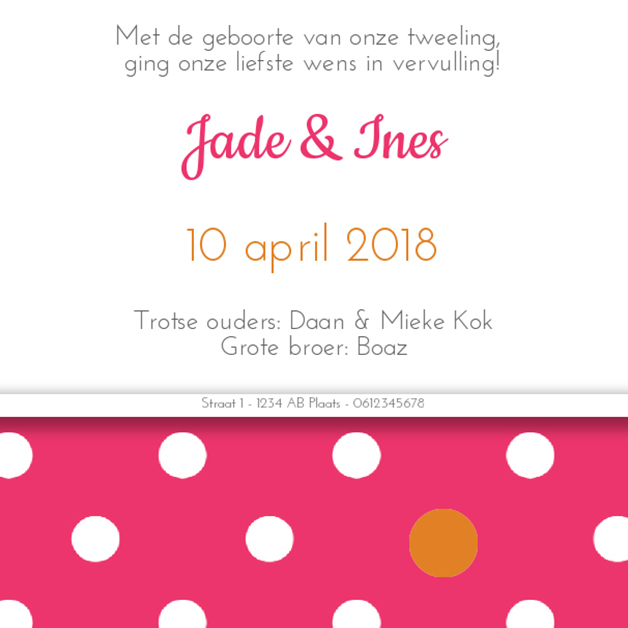 Kaart tweeling "Stipjes roze" Kaart tweeling "Stipjes roze"