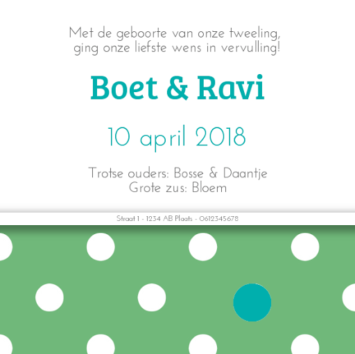 Kaart tweeling "Stipjes groen" Kaart tweeling "Stipjes groen"