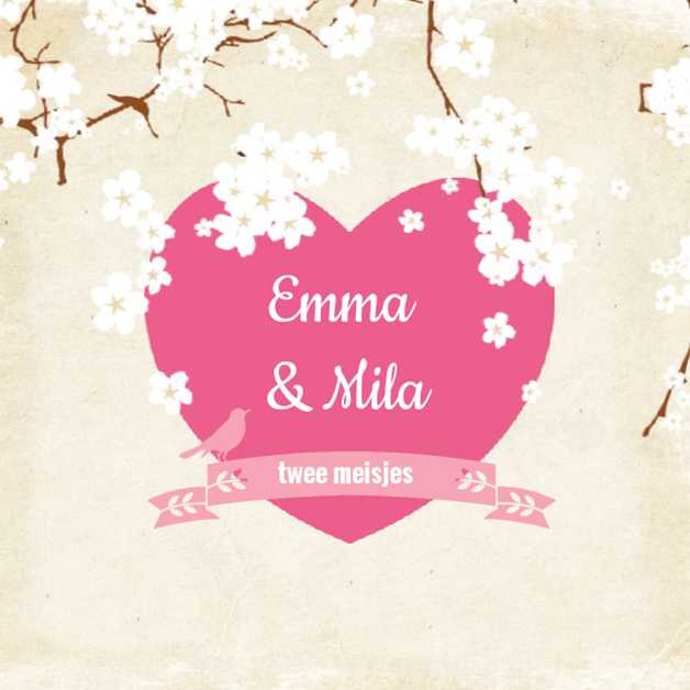 Kaart tweeling "Roze bloesem" Kaart tweeling "Roze bloesem"