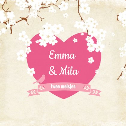 Kaart tweeling "Roze bloesem" Kaart tweeling "Roze bloesem"