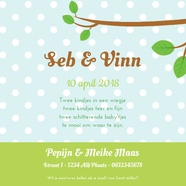 Kaart tweeling "Vogeltjes op tak" Stippen Kaart tweeling "Vogeltjes op tak" Stippen