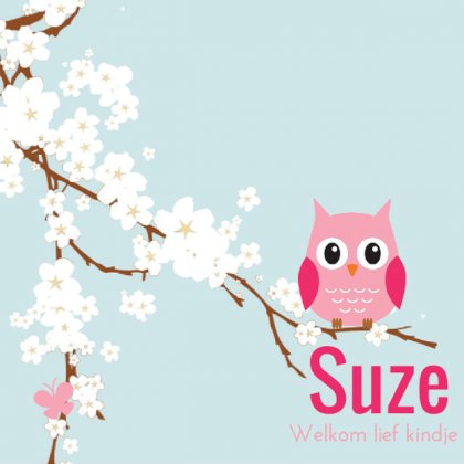 Gevouwen kaart "Roze uiltje op witte bloesem" Gevouwen kaart "Roze uiltje op witte bloesem"