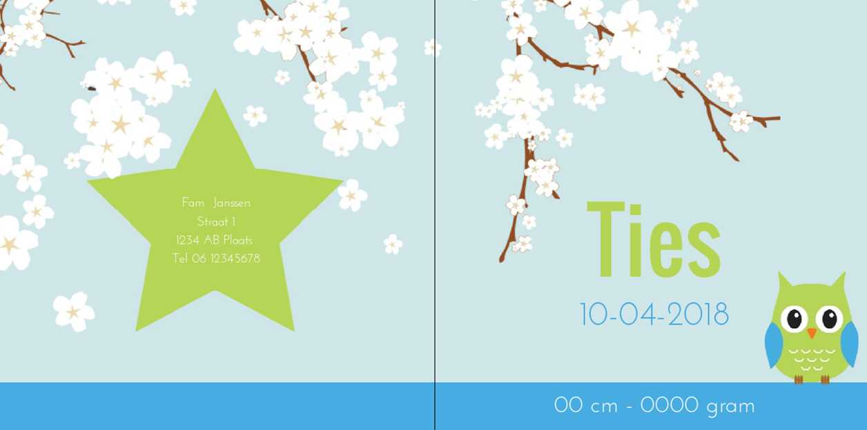 Gevouwen kaart "Groen uiltje op witte bloesem" Gevouwen kaart "Groen uiltje op witte bloesem"