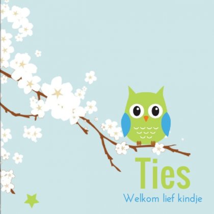 Gevouwen kaart "Groen uiltje op witte bloesem" Gevouwen kaart "Groen uiltje op witte bloesem"