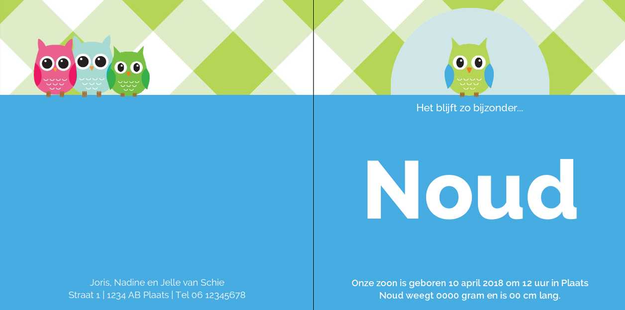 Gevouwen kaart "Grote groene uil" Gevouwen kaart "Grote groene uil"