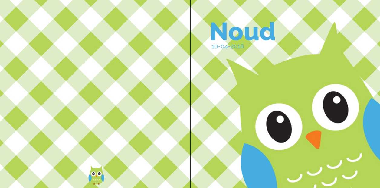 Gevouwen kaart "Grote groene uil" Gevouwen kaart "Grote groene uil"