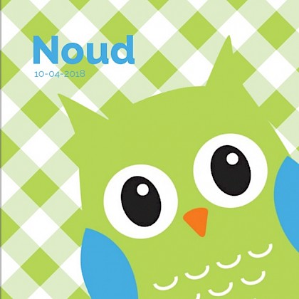 Gevouwen kaart "Grote groene uil"