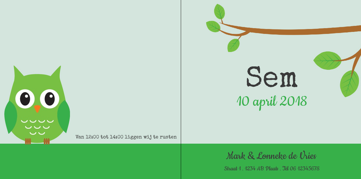 Gevouwen kaart "Groene uil op tak" Gevouwen kaart "Groene uil op tak"