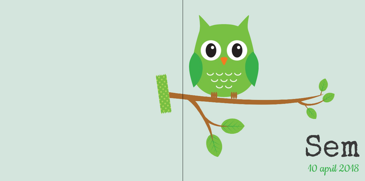 Gevouwen kaart "Groene uil op tak" Gevouwen kaart "Groene uil op tak"