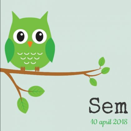 Gevouwen kaart "Groene uil op tak"