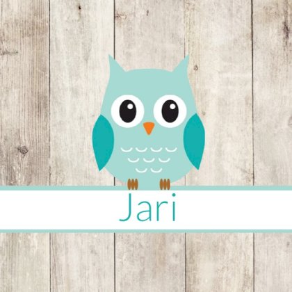 Gevouwen kaart "Blauwe uil op hout"