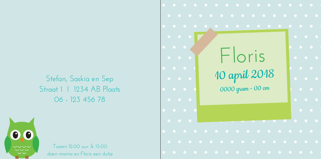 Gevouwen kaart "Groen uiltje" Gevouwen kaart "Groen uiltje"