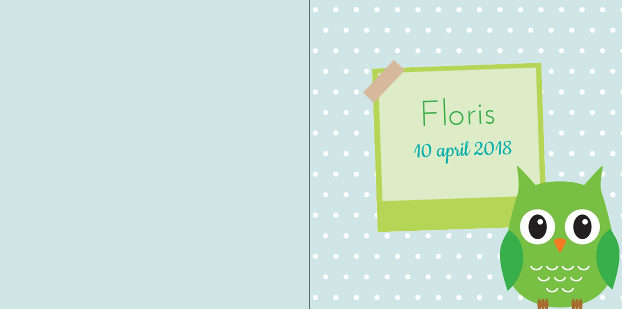 Gevouwen kaart "Groen uiltje" Gevouwen kaart "Groen uiltje"