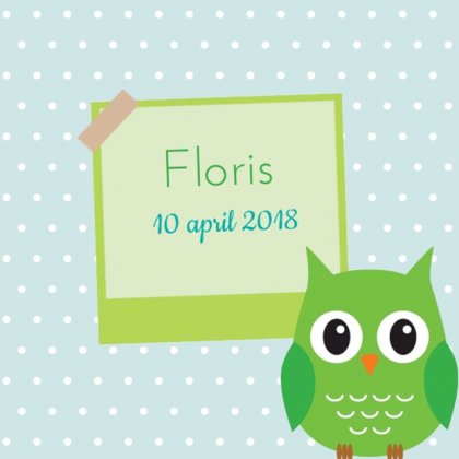 Gevouwen kaart "Groen uiltje"