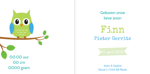 Gevouwen kaart "Groene uil op hout" Gevouwen kaart "Groene uil op hout"