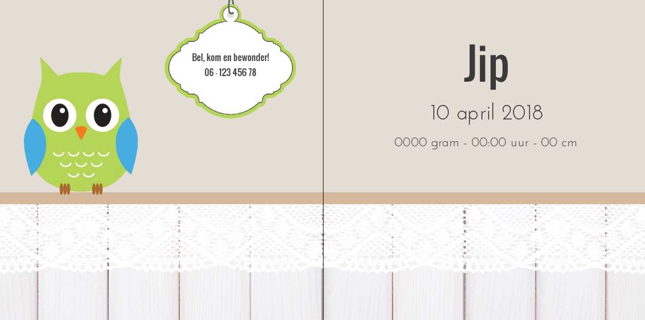 Gevouwen kaart"Groen uiltje met hanger" Gevouwen kaart"Groen uiltje met hanger"