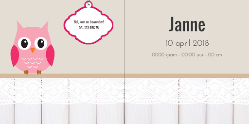 Gevouwen kaart"Roze uiltje met hanger" Gevouwen kaart"Roze uiltje met hanger"