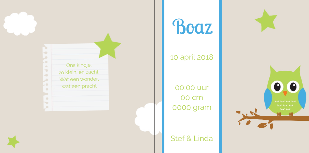 Gevouwen kaart "Groene uil met sterretjes" Gevouwen kaart "Groene uil met sterretjes"