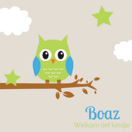 Gevouwen kaart "Groene uil met sterretjes" Gevouwen kaart "Groene uil met sterretjes"