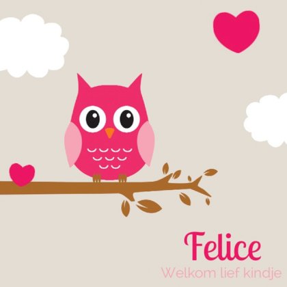 Gevouwen kaart "Roze uil met hartjes" Gevouwen kaart "Roze uil met hartjes"