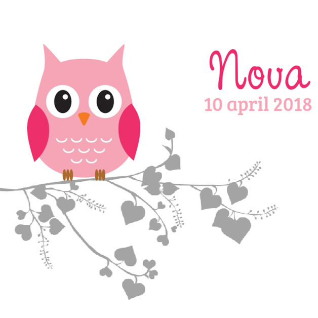 Kaartje "Roze uil op hartjes bloesem" Kaartje "Roze uil op hartjes bloesem"