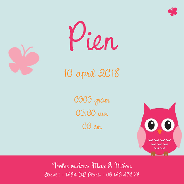 Kaartje "Roze uil met vlinder" Kaartje "Roze uil met vlinder"