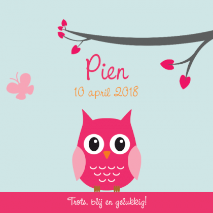 Kaartje "Roze uil met vlinder"