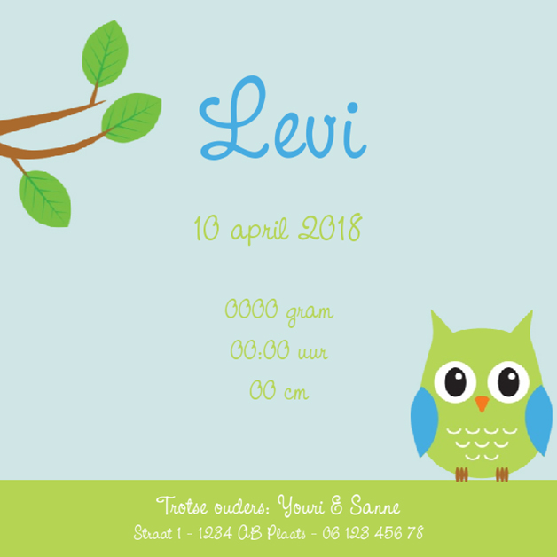 Kaartje "Groen uiltje met tak" Kaartje "Groen uiltje met tak"