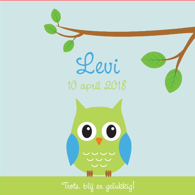 Kaartje "Groen uiltje met tak" Kaartje "Groen uiltje met tak"