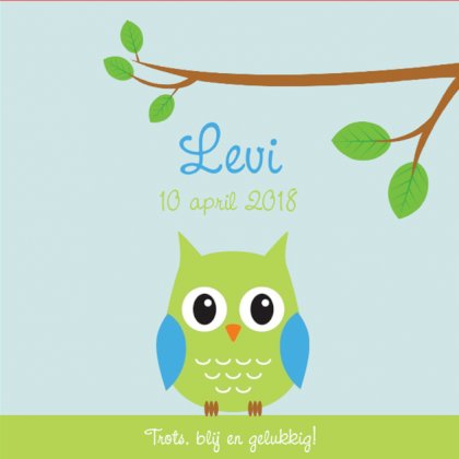 Kaartje "Groen uiltje met tak" Kaartje "Groen uiltje met tak"