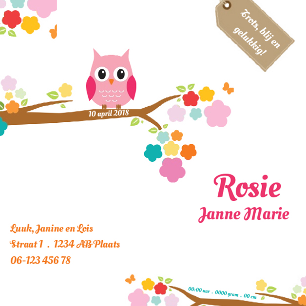 Kaartje "Uiltje in bloementak" Kaartje "Uiltje in bloementak"