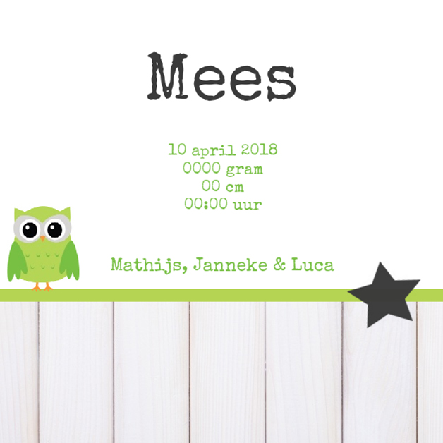 Kaartje "Groen uiltje op banner" Kaartje "Groen uiltje op banner"