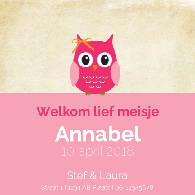 Kaartje "Roze uiltje met strikje" Kaartje "Roze uiltje met strikje"