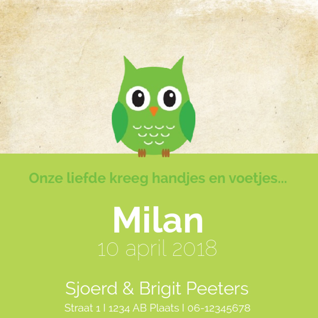 Kaartje "groen uiltje in blauw rondje" Kaartje "groen uiltje in blauw rondje"