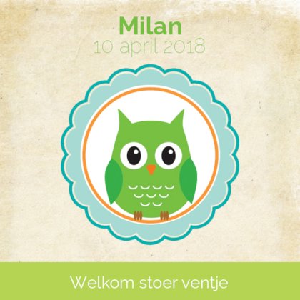 Kaartje "groen uiltje in blauw rondje"