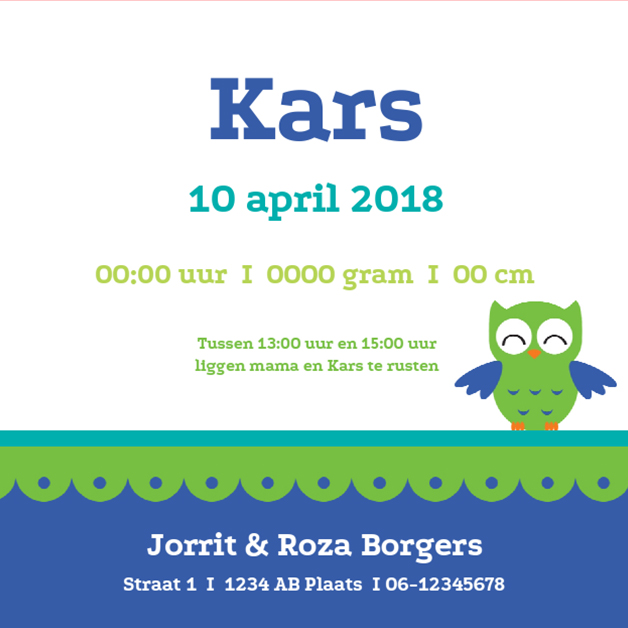 Kaartje "Groen uiltje" Kaartje "Groen uiltje"