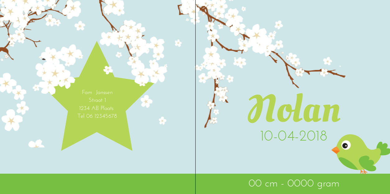 Gevouwen kaart "Groen vogeltje & Bloesem" Gevouwen kaart "Groen vogeltje & Bloesem"