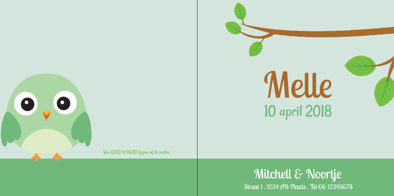 Gevouwen kaart "Groen vogeltje op takje" Gevouwen kaart "Groen vogeltje op takje"